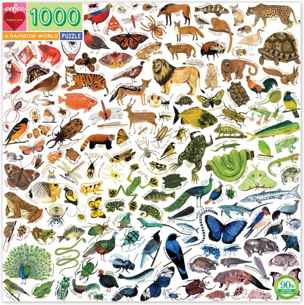 Puzzle A Rainbow World 1000 pièces
