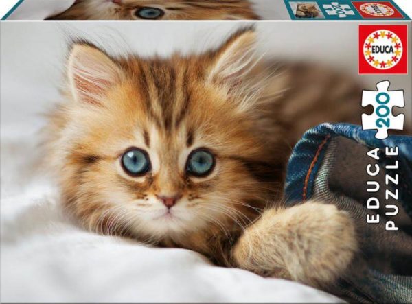 Puzzle Chatons 200pc