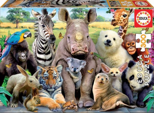 Puzzle Photo de classe 300 pièces