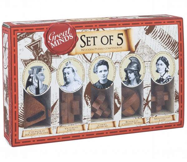 Set de 5 Casse Tête Grands Esprits en Bois