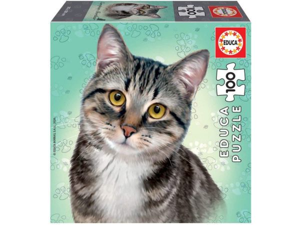 Puzzle Chat European Shothair