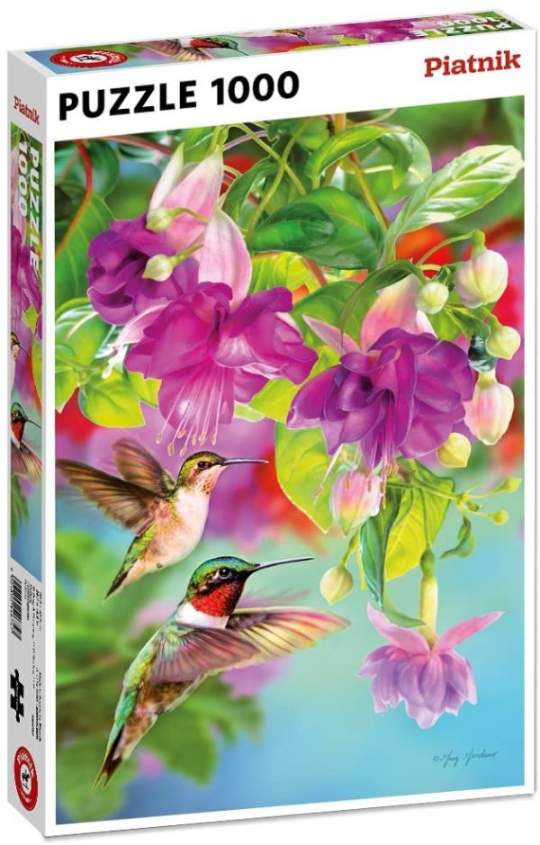 Puzzle Colibri 1000 pièces