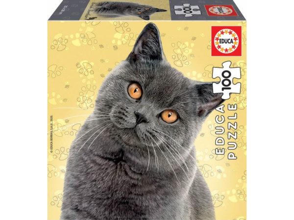 Puzzle Chat British Shorthair 100 pièces