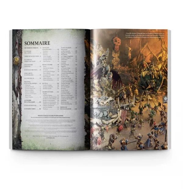AOS Battletome Orruck Warclan VF – Image 2
