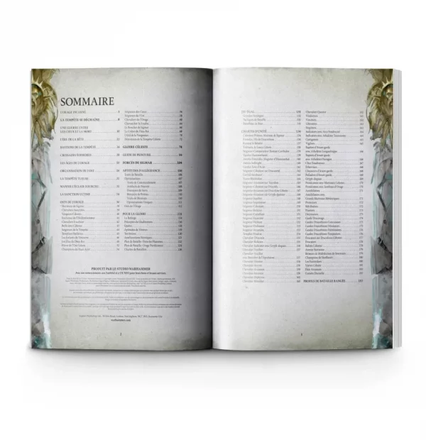 AOS Battletome Storcast Eternal VF – Image 2