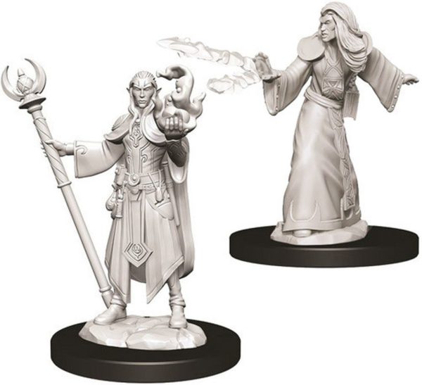 D et D Male Elf Wizard
