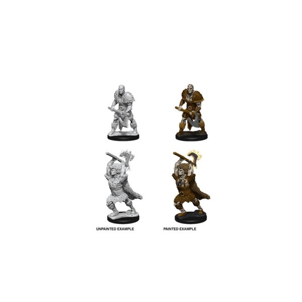 D et D Male Goliath Barbarian