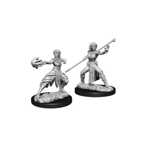 D et D Female Half Elf Monk