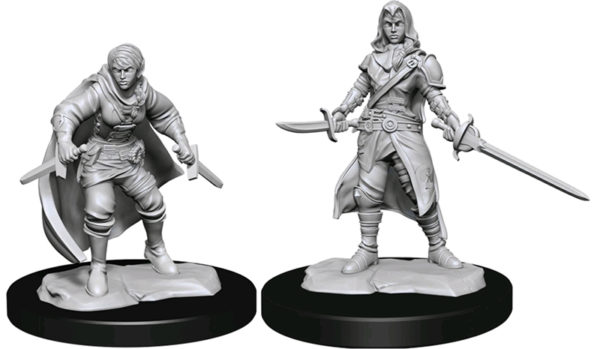 D et D Nulzur's Miniatures Elf Rogue