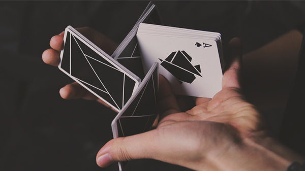 Jeu Flexible TCC Noir