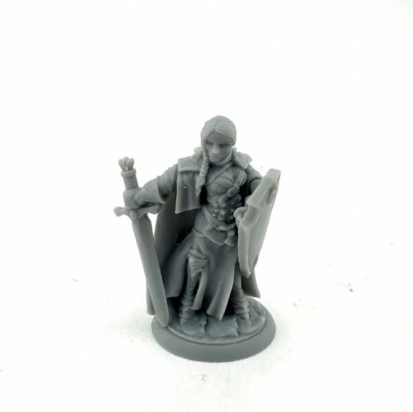 Isabeau Laroche Femele Paladin