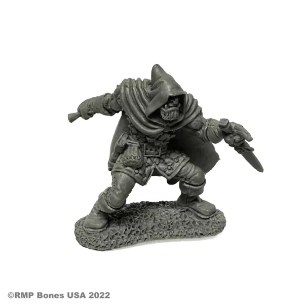 Rogan Half-Orc Thief
