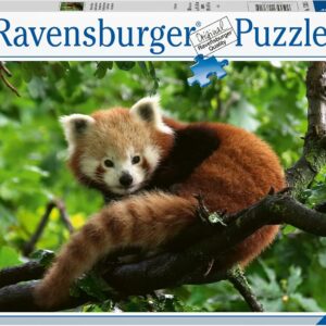 Puzzle Panda Roux 500 pièces