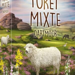 Forêt Mixte - Dartmoor