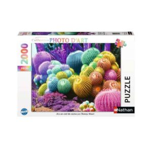 Puzzle Arc-en-Ciel de Cactus 2000 pièces