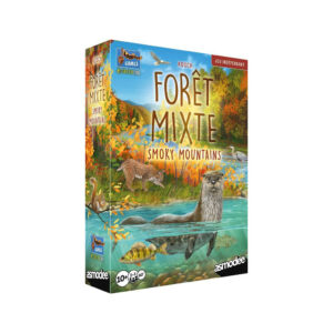 Forêt Mixte Smoky Mountains